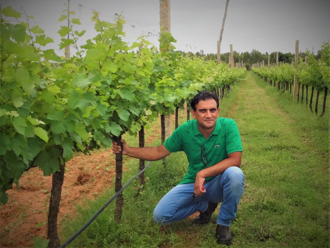 Winery Tour in Bangalore