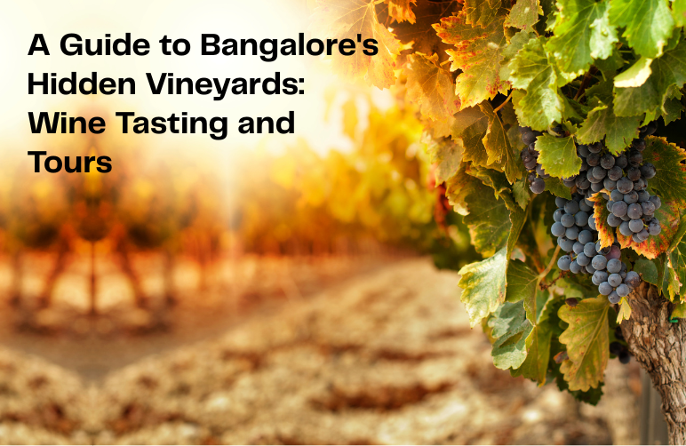Vineyard in Bangalore