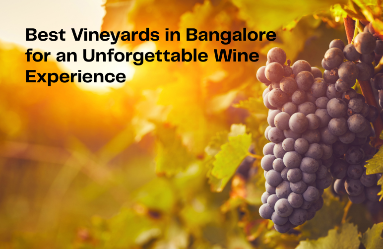 Best Vineyards in Bangalore