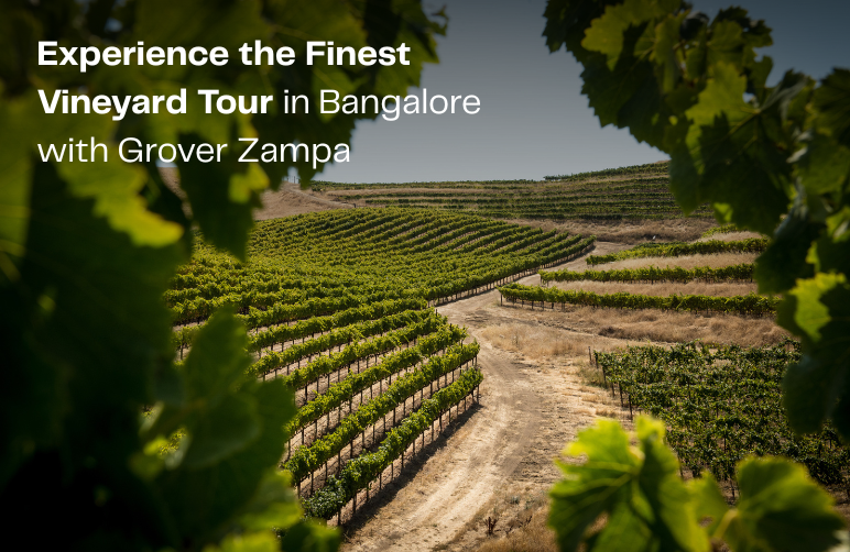 Vineyard Tour in Bangalore
