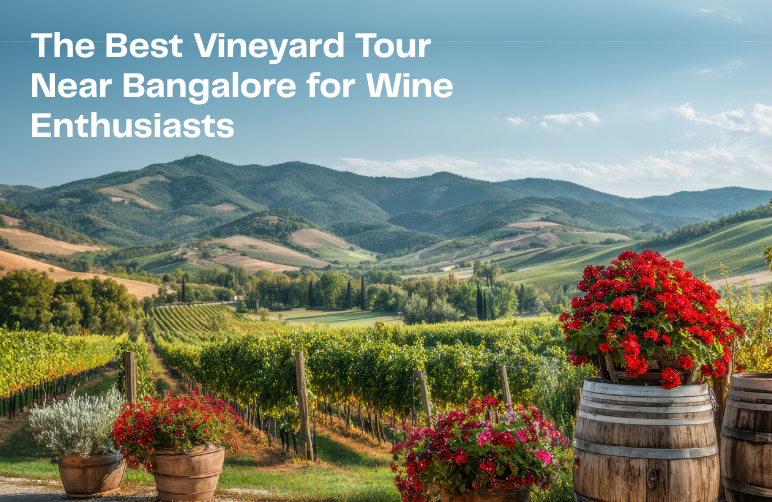 vineyard tour near Bangalore
