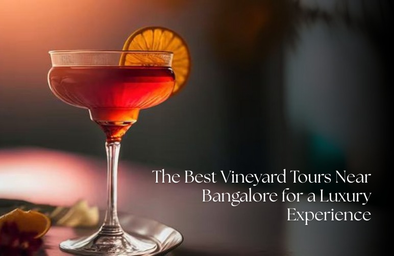Best vineyard tours near Bangalore