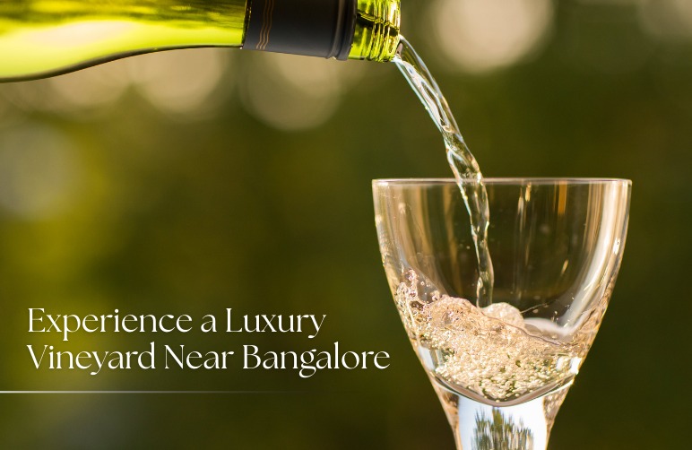 Luxury vineyard near Bangalore