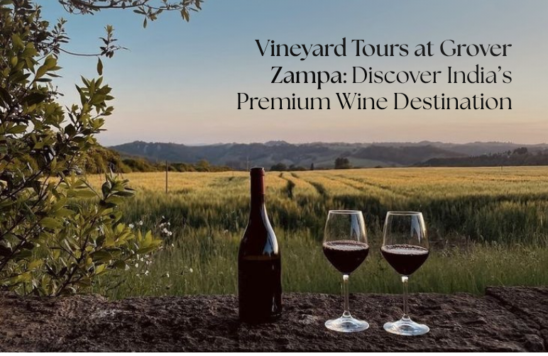 Vineyard Tours
