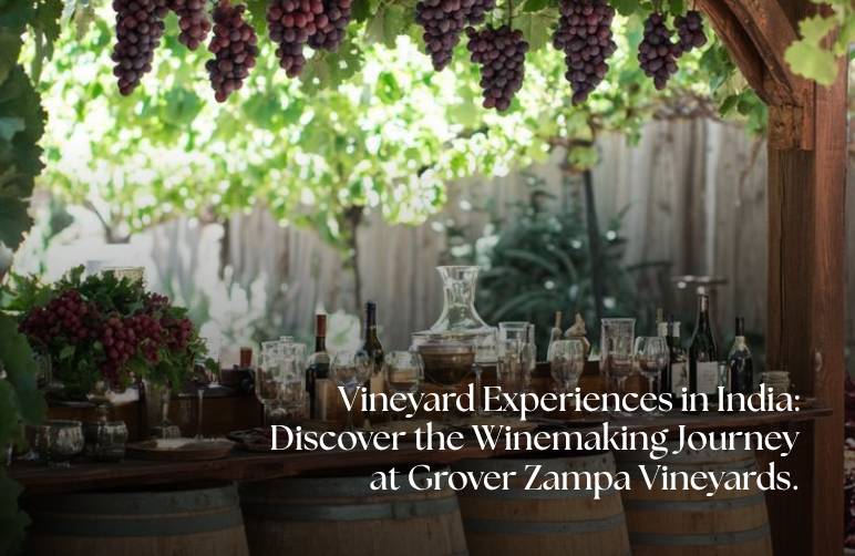 Vineyard Experiences